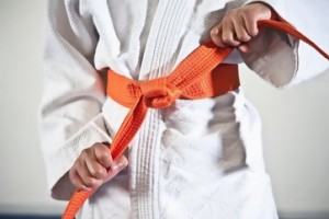 Martial arts belt